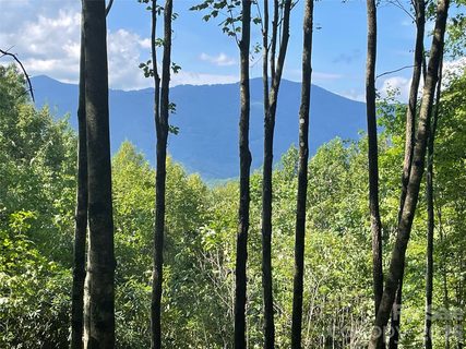 Lt 239 Down The Hill Road active lot in Balsam Mountain Preserve, Sylva, NC