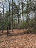 1553 Country View Way sold home in Arden, SC