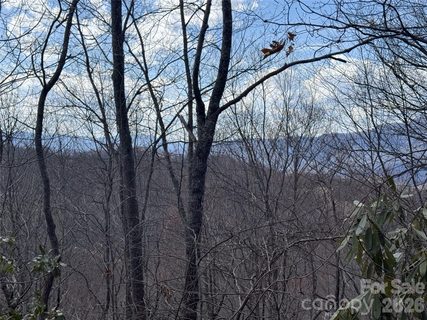 81 Boarding House Way active lot in Balsam Mountain Preserve, Sylva, NC