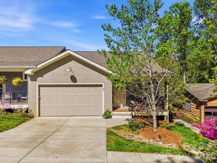 Homes in Dillingham Woods, Asheville