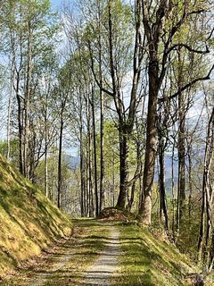 Homes in High Hickory, Swannanoa