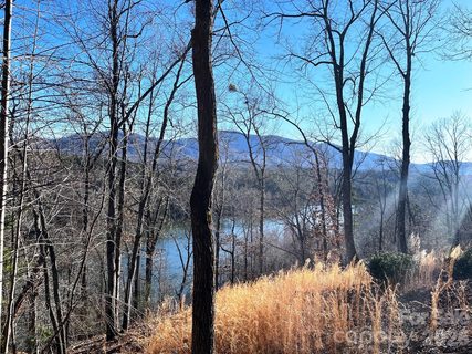 Lot 30 Mountain Parkway active home in Lake Adger, Mill Spring, NC