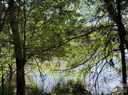 18524 Mainsail Court active lot in Edgewater, Lancaster, SC