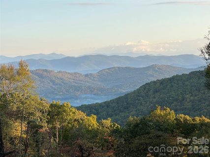 Homes in Sprout, Hendersonville
