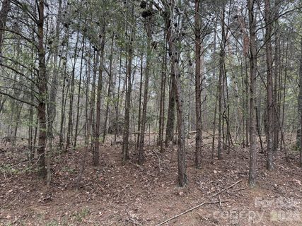 0 Whisper Lake Drive active lot in Heron Bay, New London, NC