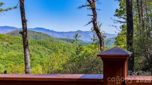 Homes in Laurel Mountain Preserve, Black Mountain