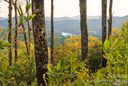 175 Skyview Road sold home in Lake Toxaway, SC