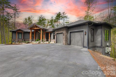 Homes in Connestee Falls, Brevard