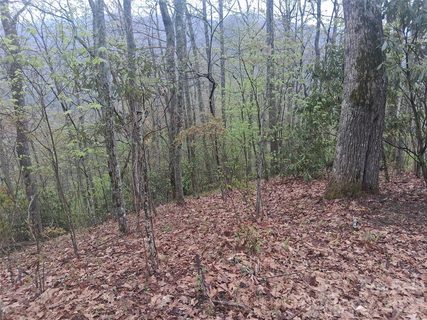 0000 Bear Creek Road active home in Smokey Mountain Acres, Maggie Valley, NC