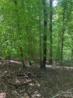 0 Creekside Circle active home in Clearwater Creek, Rutherfordton, NC