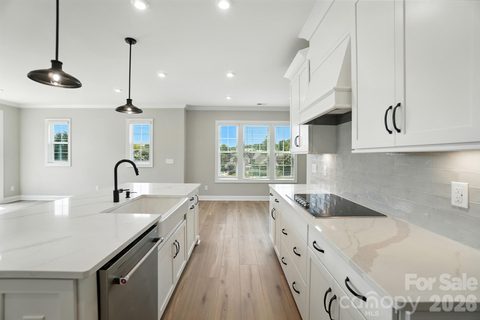 Homes in Townes At Wade Ardrey, Charlotte