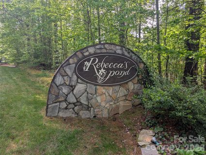Homes in Rebeccas Pond, Hendersonville