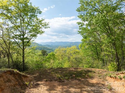 A home in Bryson Gap Preserve