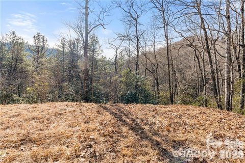 28 Trillium Lane active home in Creston, Black Mountain, NC