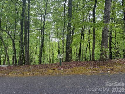 39 Black Bear Ridge Trail active home in Rock Creek, Zirconia, NC