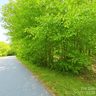 1243 Beechwood Drive sold home in Newton, SC