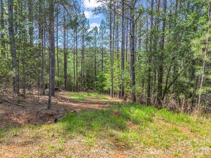 111 Cranberry Lane active lot in Broad River Highlands, Mooresboro, NC