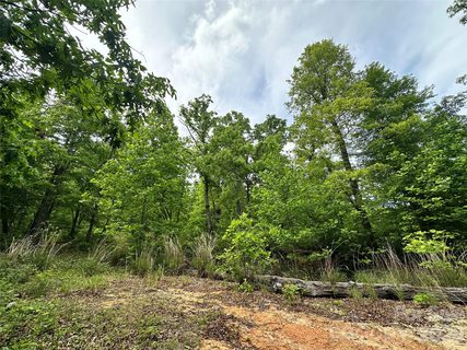 Homes in Bird Creek Estates, Black Mountain