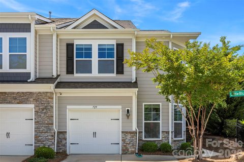 729 Little Bluestem Drive sold townhome in Ivy Ridge, Clover, SC