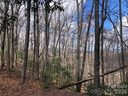 Tbd Bobcat Mountain Road sold home in Purlear, SC