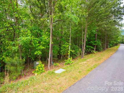 Lot 2009 Deep Gap Farm Road active home in Brights Creek, Mill Spring, NC