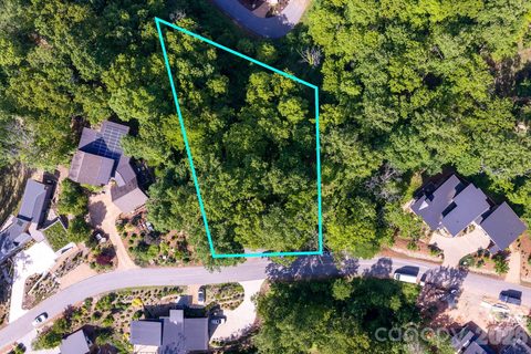 17 Tulip Poplar Trail active home in Olivette, Asheville, NC