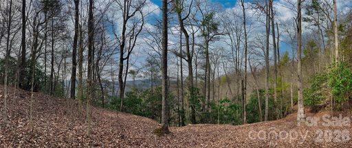 Lot 127 Bear River Lodge Trail active home in Bear River Lodge, Marshall, NC