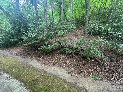 Tbd Glen Cannon Drive active lot in Glen Cannon, Pisgah Forest, NC