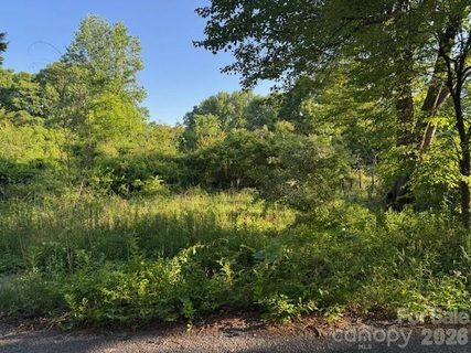 202 Dundee Street active lot in Bonnie Brae, Hendersonville, NC