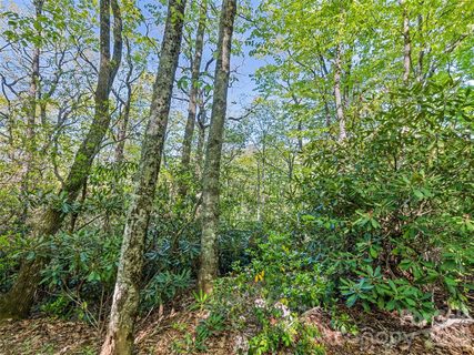 19 Sleepy Hollow Lane active lot in Sleepy Hollow, Waynesville, NC