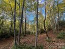 6 Dividing Ridge Trail sold home in Arden, SC
