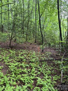 Lot 68 Cherrywood Lane active lot in Stoney Brook, Pisgah Forest, NC