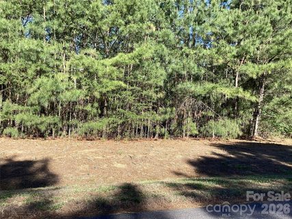307 Twin Cove Drive active home in Harbor Ridge, Connelly Springs, NC