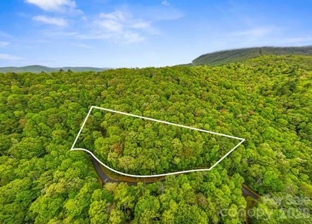 Tbd Hickory Shaft Drive active home in Bear Wallow Springs, Sapphire, NC