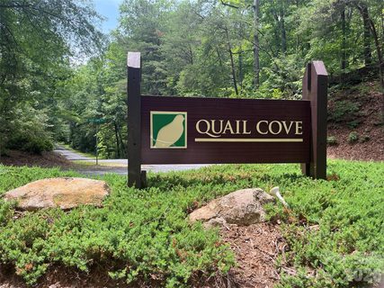 155 Quail Cove Boulevard active home in Rumbling Bald On Lake Lure, Lake Lure, NC