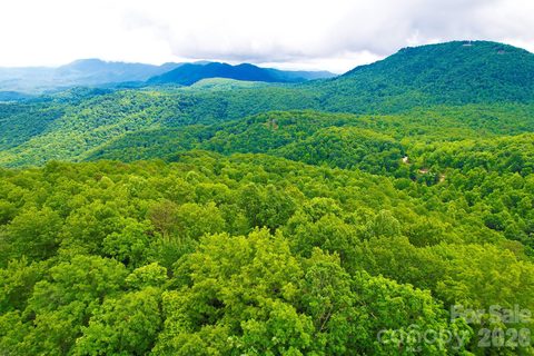 215 Laurel Mountain Trail active home in Laurel Mountain Preserve, Black Mountain, NC