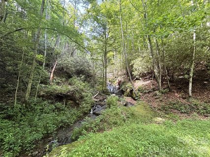 Homes in Big Springs Cove Estates, Maggie Valley