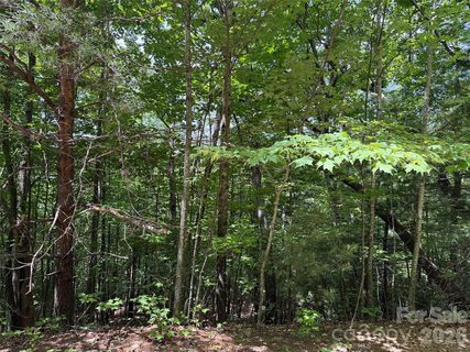 Tbd Warren Way active home in Buck Mountain, Purlear, NC