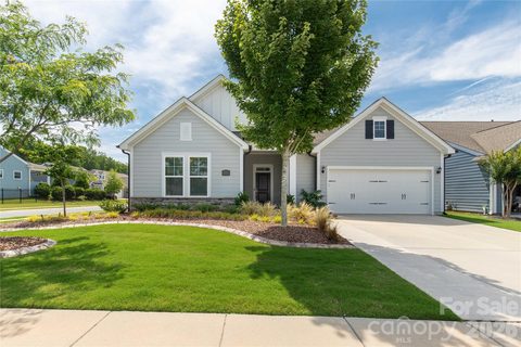 Homes in Ansley Park, Fort Mill