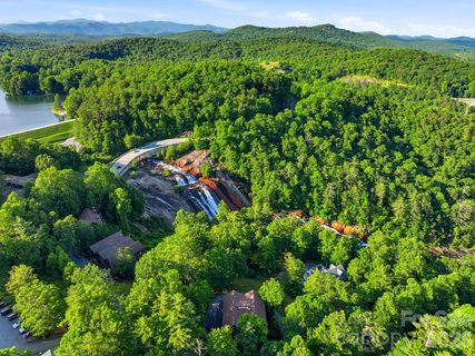 Homes in Toxaway Falls Condominium, Lake Toxaway