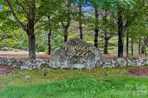 11 Magnolia Branch Drive active home in Pinnacle Falls, Zirconia, NC