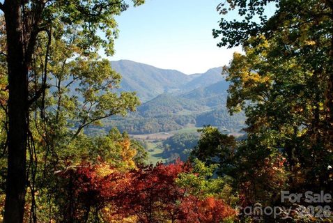 99999 Davidson Gap Road active home in Whisper Mountain, Leicester, NC