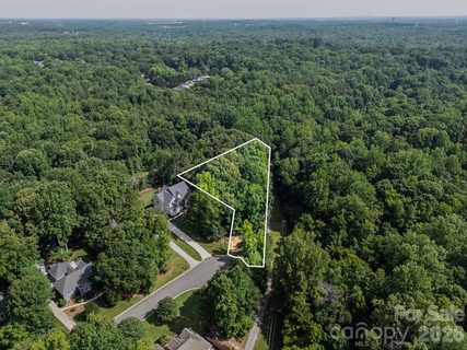 229 Ballard Court active lot in Whiteville Park, Fort Mill, SC