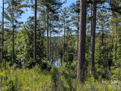 2134 Princeton Mountain Mountain active lot in Lakeside Reserve, Connelly Springs, NC