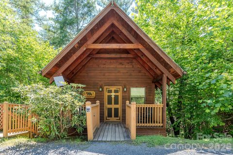 Homes in Bear Den Acres, Spruce Pine