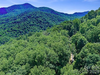 9999 Lovebird Lane active land listing in Ashebrook Estates, Candler, NC
