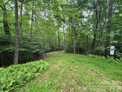 000 Chestnut Oak Lane active lot in Sylvan Habitat, Pisgah Forest, NC