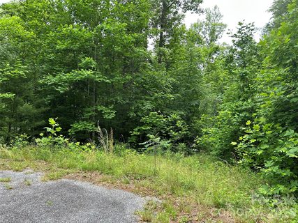 Homes in Silverstone, Hendersonville