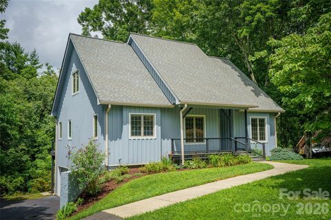 Homes in Buffalo Mountain, Asheville