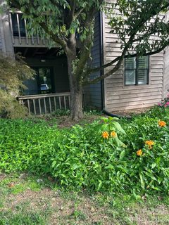 4134 Charlotte Highway active condo in Lake Wylie Woods, Clover, SC